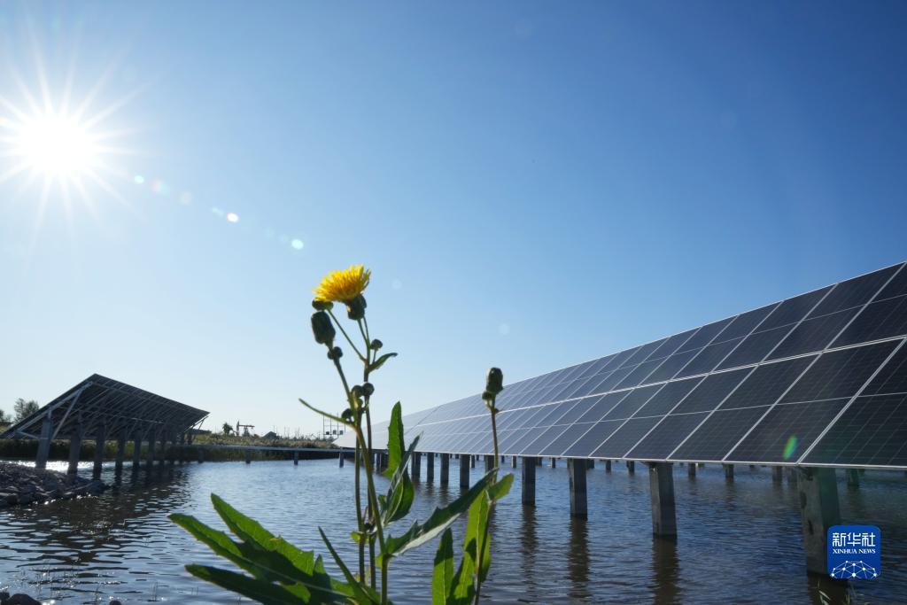 太阳城游戏官网